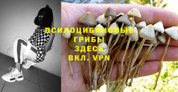 марки lsd Аркадак