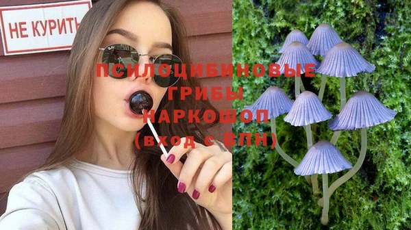 spice Армянск