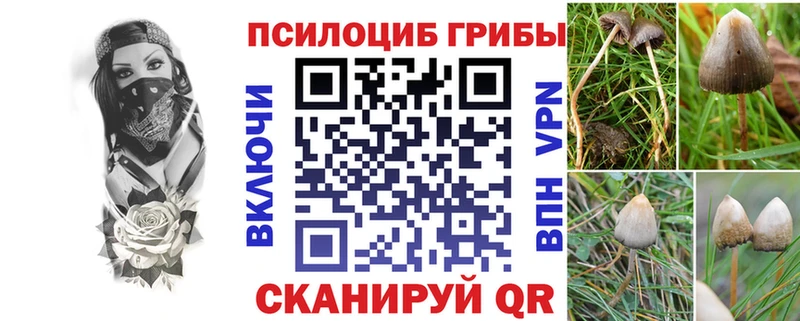 маркетплейс как зайти  Кирово-Чепецк  Галлюциногенные грибы Magic Shrooms  блэк спрут ССЫЛКА 